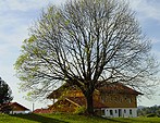 Dorferneuerung