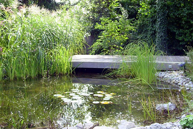Hausgarten mit naturnahem Teich
