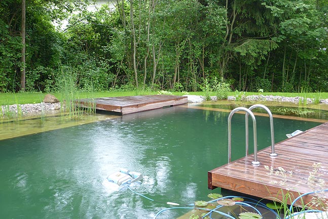 Hausgarten mit Schwimmteich
