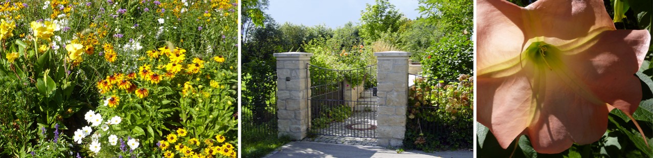 Kontakt Landschaftsarchitektur und Stadtplanung