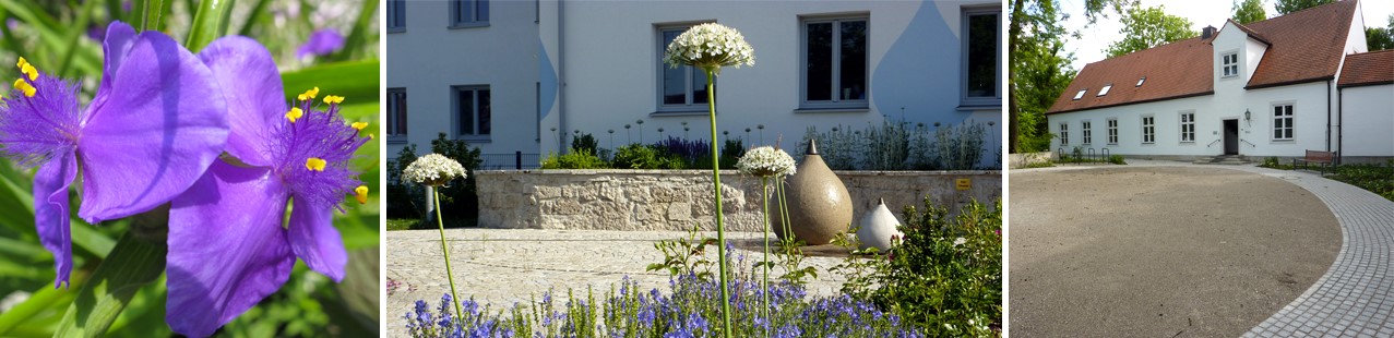 Landschaftsarchitektur Monika Treiber, Stadtplanung