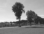 Landschaftspflegerische Begleitplanungen