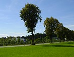 Landschaftspflegerische Begleitplanungen