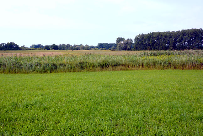 Landschaftsplanung Ökokonto