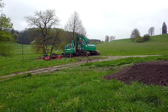 Ökologische Baubegleitung zur Hochwasserfreilegung in Salabeuren