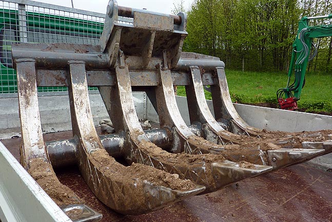 Ökologische Baubegleitung zur Hochwasserfreilegung in Salabeuren