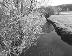 Wasserrechtliche Genehmigungsverfahren